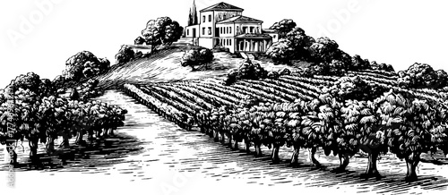 Vintage vineyard terrace with grapevines and historic building engraving design for card or poster