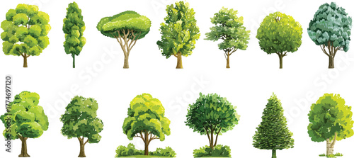 Collection of pixel art deciduous and coniferous trees in various green shades illustration