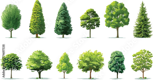 Minimal style cad tree line drawing, Side view, set of graphics trees elements, tree sketches, silhouette tree vector element