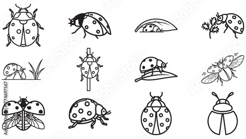 Ladybug Line Art Stroke Icons In Varied Poses, Cute Garden Beetle Outline Vector Sheet For Spring Designs