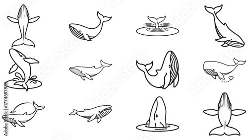Whale Line Art Stroke Icon Set With Many Poses, Majestic Marine Outline Vector For Ocean And Wildlife Themes
