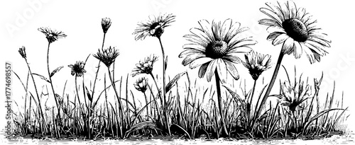 Vintage meadow flowers and grass seamless texture for design