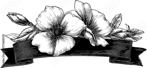 Elegant vintage floral frame with ribbon ornament for design and decoration