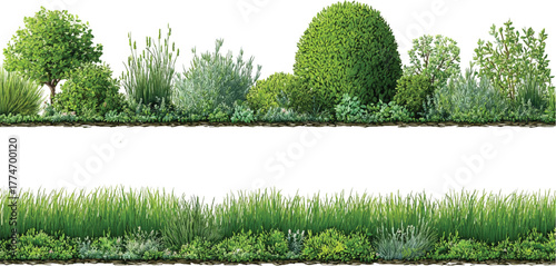 Contour of tall coniferous trees, set of beautiful Bushes and Shrubs Vector Set – Realistic Green Plants and Grass Isolated for Landscape Design Illustration on transparent background