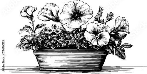 Vintage engraved still life of rustic garden flowers in a wooden container for home decor and art prints