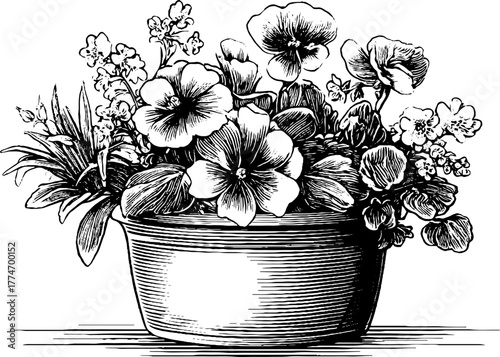 Engraved still life of rustic garden flowers - vintage floral design for art prints and decor