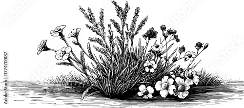 Intricate still life with bouquet of wild herbs and flowers - vintage hand drawn composition for art and design