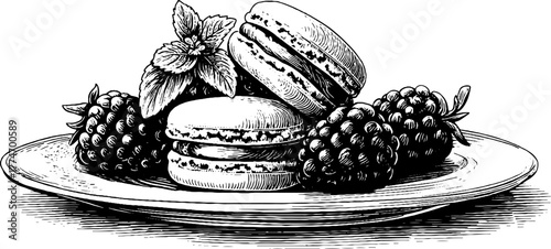 Vintage still life of dessert plate with macarons and berries for culinary art decor