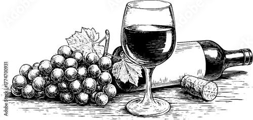Vintage still life of glass of red wine and grapes - hand drawn etched illustration for design