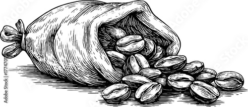 Engraved still life of roasted coffee beans spilling from burlap sack