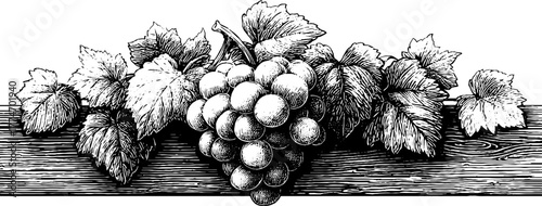 Vintage engraved stone relief with symmetrical grape pattern for decorative design