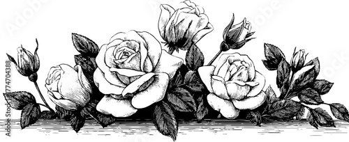 Elegant arrangement of climbing roses in vertical border design for decor and print