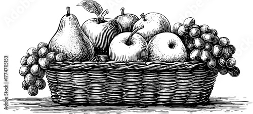 Vintage hand-drawn basket of fresh fruits featuring apples and grapes