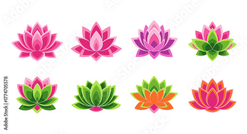 Collection of colorful lotus flowers in various shades, showcasing their beauty and elegance.