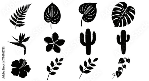 A collection of various tropical plant silhouettes including flowers, leaves, and cacti are.