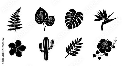 Collection of tropical plants including fern, anthurium, monstera, bird of paradise, plumeria,.