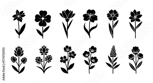 Collection of twelve simple flower icons with stems and leaves in a monochrome silhouette style.