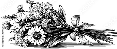 Vintage botanical engraving of dried flower bouquet with ribbon for design