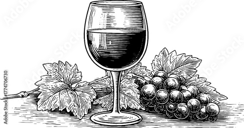 Vintage engraving of red wine glass with grapes and vineyard leaves for artistic design