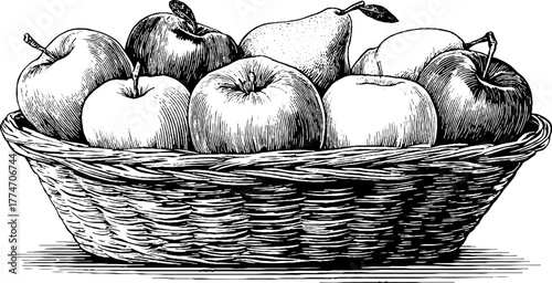 Vintage hand-drawn engraving of handwoven basket with apples and pears for rustic decor
