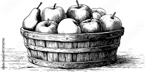 Vintage engraving of handwoven basket with apples and pears - rustic fruit design for decor