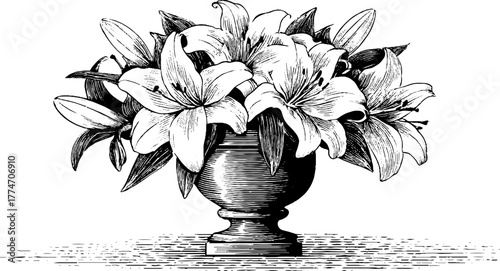 Classical engraving of elegant lily bouquet in urn vase for decorative design
