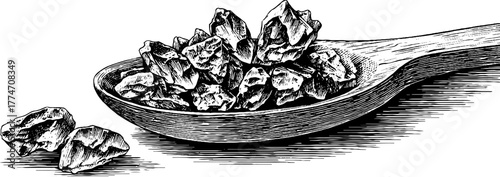 Vintage engraving of salt crystals in wooden spoon for culinary design