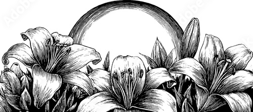 Vintage lily vine engraving with intertwined floral design for retro decor