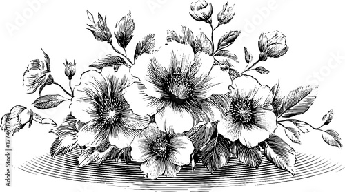 Ornamental floral patterns with circular mandala and delicate petals for decorative design