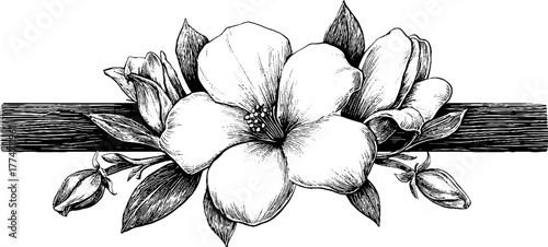 Vintage floral decorative divider with ornamental central design for elegant card or poster