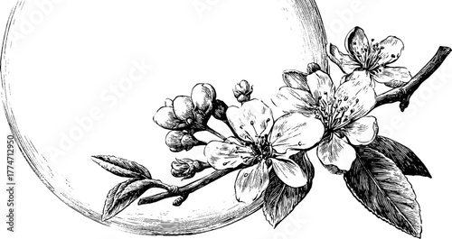 Elegant oval frame with blossoming branches and soft spring leaves for design and decoration