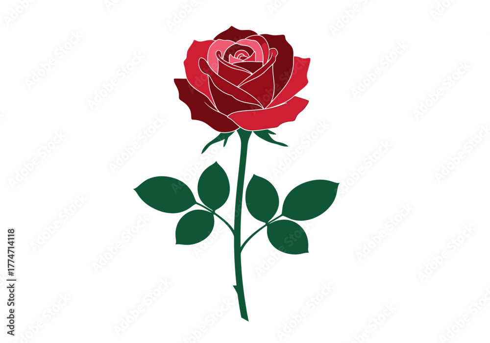 Fototapeta premium A stylized dark red rose with green stem and leaves centrally placed on a white background