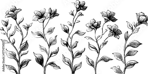 Art nouveau floral patterns with organic curved stems for design and decoration