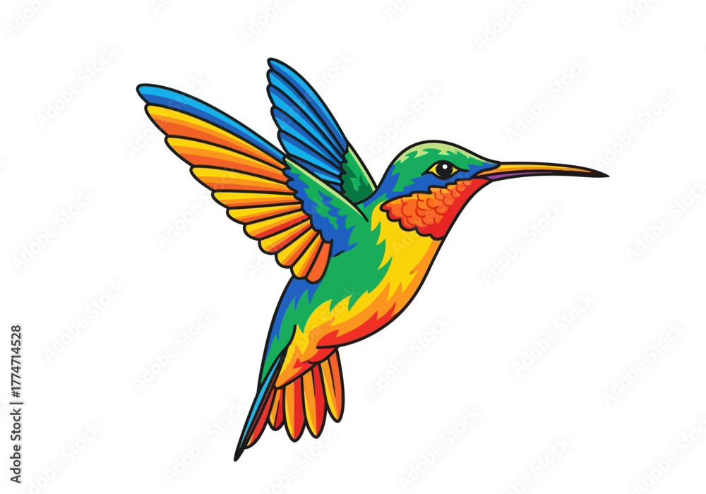 Obraz premium Colorful hummingbird with outstretched wings facing right on a white background