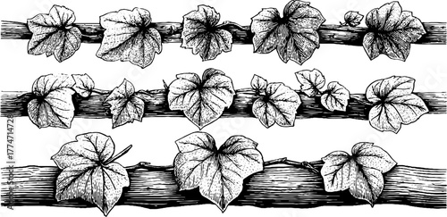Vintage decorative filigree vine borders for design and craft projects