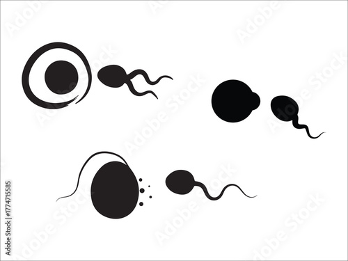 Sperm cells approaching human egg fertilization concept in black and white