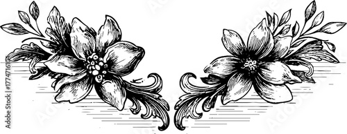 Vintage ornamental flourishes and corner swirls for design decoration