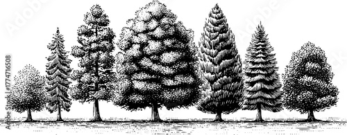 Collection of seamless vintage engraving tree textures with subtle grain for design