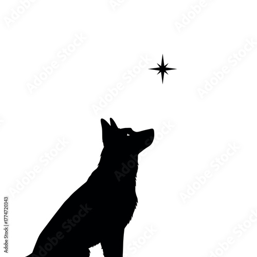 Silhouette of a dog looking up at a bright star.