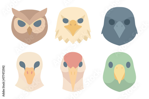 Flat style minimalist bird icons set featuring owl, eagle, hawk, vulture, falcon, parrot faces