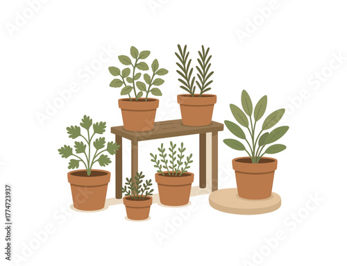 herbal garden corner clay pots wooden shelf home calm vibe no outline flat vector illustration style isolated on white background muted natural tones