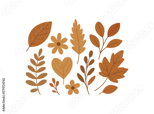 collection of dried leaves and flowers arranged harmony no outline flat vector illustration style isolated on white background muted warm tones