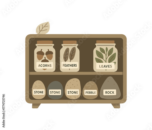 nature cabinet with labeled jars and stones natural curiosity no outline flat vector illustration style isolated on white background muted neutral hues