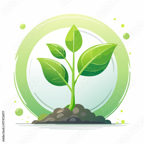 Vibrant green plant growing in soil within a circular frame isolated