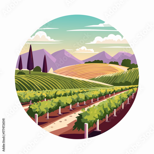 Vineyard landscape illustration with rows of grape vines in a circular frame
