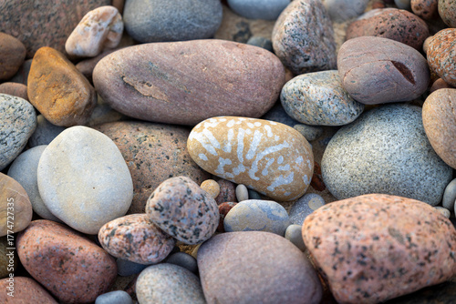 Beautiful dry, smooth pebbles on the beach of Baltic Sea. Sunny summer day in Latvia.