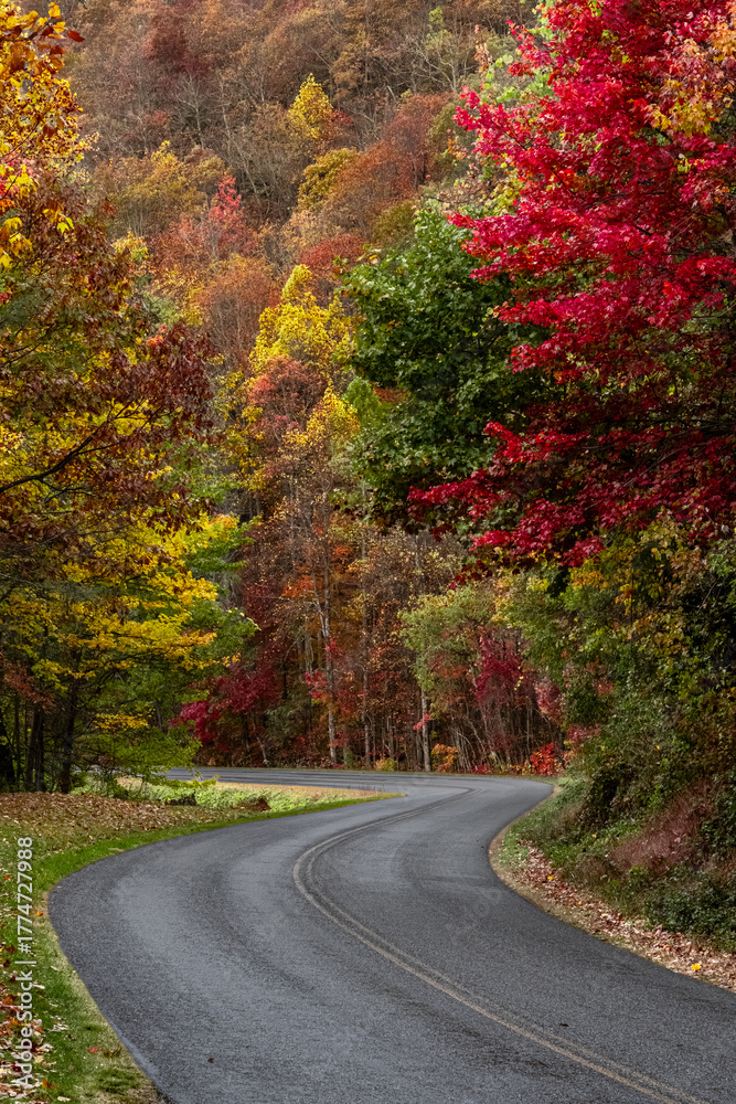 Fototapeta premium A winding road on the Blue Ridge Parkway in North Carolina in autumn
