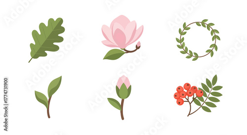 Assorted Botanical Vector Elements Leaves Flower Berries and Wreath.