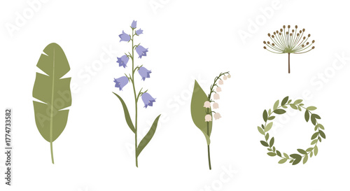 Diverse Botanical Illustrations Bellflowers Lily of the Valley Leaf Seed Head and Green Wreath.