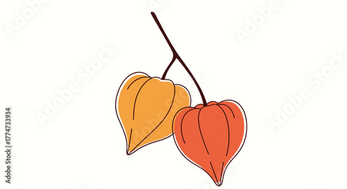 Minimalist illustration of two autumnal Chinese lanterns, one vibrant orange and one reddish-orange, hanging from a delicate branch.